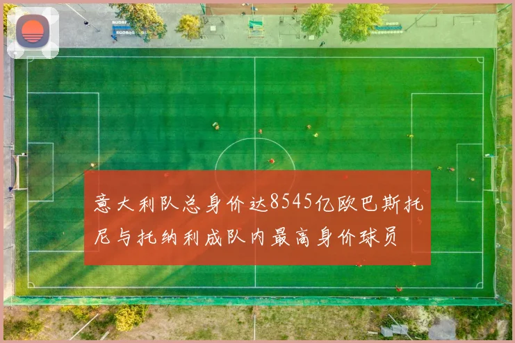 意大利队总身价达8545亿欧巴斯托尼与托纳利成队内最高身价球员